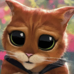 imageda